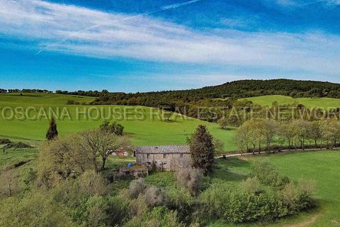 Gårdshus i Trequanda, Siena, Trequanda - € 1 630 000 | Ref: a1190ta70641 - foto 9