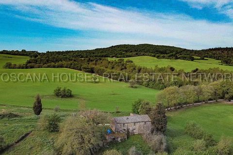 Gårdshus i Trequanda, Siena, Trequanda - € 1 630 000 | Ref: a1190ta70641 - foto 14