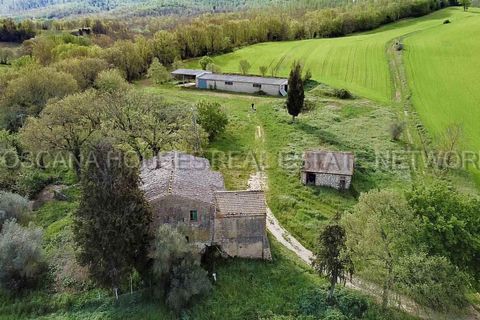 Gårdshus i Trequanda, Siena, Trequanda - € 1 630 000 | Ref: a1190ta70641 - foto 18