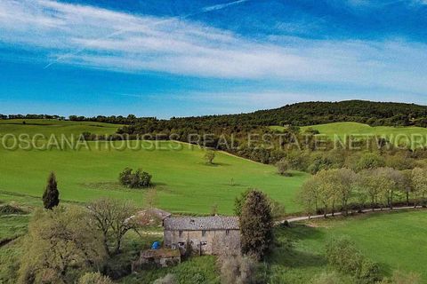Gårdshus i Trequanda, Siena, Trequanda - € 1 630 000 | Ref: a1190ta70641 - foto 19