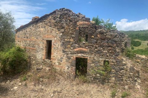 Farm hus i Radicofani, Siena, Radicofani - € 400.000 | Ref: a1190rc39959 - foto 2