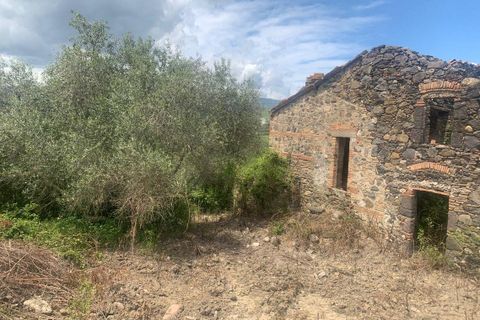 Farm hus i Radicofani, Siena, Radicofani - € 400.000 | Ref: a1190rc39959 - foto 3