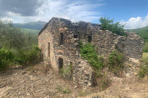 Farm hus i Radicofani, Siena, Radicofani - € 400.000 | Ref: a1190rc39959 - foto 4