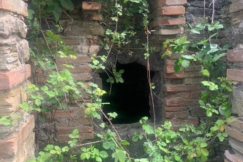 Farm hus i Radicofani, Siena, Radicofani - € 400.000 | Ref: a1190rc39959 - foto 13