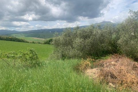 Farm hus i Radicofani, Siena, Radicofani - € 400.000 | Ref: a1190rc39959 - foto 21