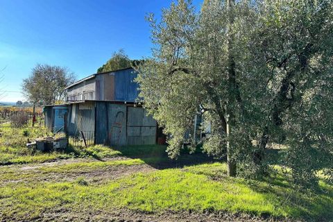 Farm hus i Roccastrada, Grosseto, Roccastrada - € 750.000 | Ref: a7631ta2280624a - foto 7