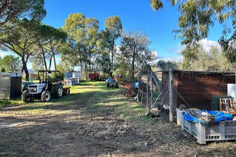 Farm hus i Roccastrada, Grosseto, Roccastrada - € 750.000 | Ref: a7631ta2280624a - foto 10