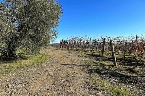 Farm hus i Roccastrada, Grosseto, Roccastrada - € 750.000 | Ref: a7631ta2280624a - foto 13