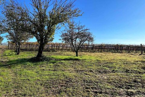 Farm hus i Roccastrada, Grosseto, Roccastrada - € 750.000 | Ref: a7631ta2280624a - foto 15