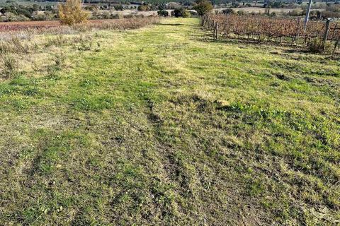 Farm hus i Roccastrada, Grosseto, Roccastrada - € 750.000 | Ref: a7631ta2280624a - foto 16
