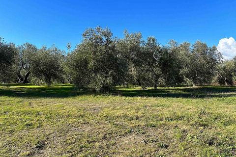 Farm hus i Roccastrada, Grosseto, Roccastrada - € 750.000 | Ref: a7631ta2280624a - foto 17