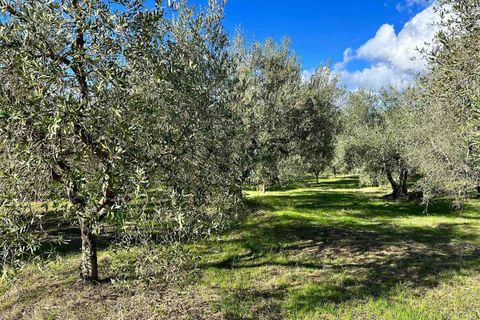 Farm hus i Roccastrada, Grosseto, Roccastrada - € 750.000 | Ref: a7631ta2280624a - foto 20