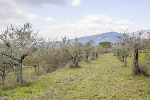 Farm hus i Cortona, Arezzo, Cortona - € 980.000 | Ref: a1190rc12561 - foto 28