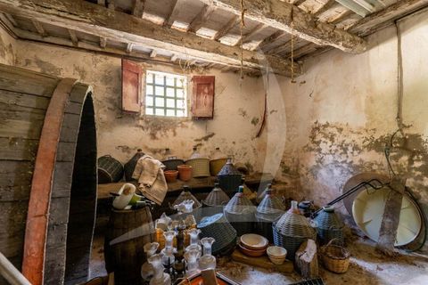 Farm hus i Asciano, Siena, Asciano - € 1.650.000 | Ref: a1190rc55558 - foto 27
