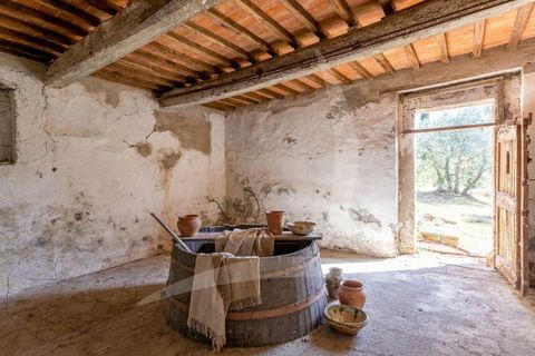 Farm hus i Asciano, Siena, Asciano - € 1.650.000 | Ref: a1190rc55558 - foto 28
