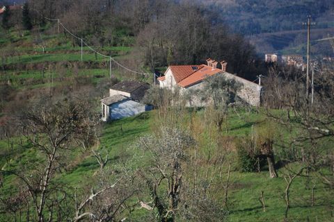 Farm hus i Pontremoli, Massa and Carrara, Pontremoli - € 790.000 | Ref: a7879ta1753750a - foto 13