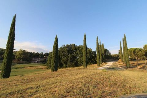Landejendom i Siena, Siena, Siena - € 1.800.000 | Ref: a6292rc2107395a - foto 22