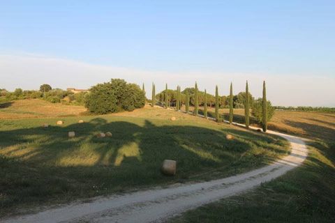 Landejendom i Siena, Siena, Siena - € 1.800.000 | Ref: a6292rc2107395a - foto 24