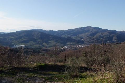 Landejendom i Rufina, Florence, Rufina - € 1.075.000 | Ref: a6273rc2270081a - foto 2