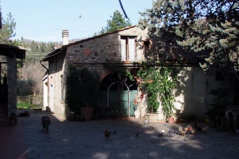 Landejendom i Rufina, Florence, Rufina - € 1.075.000 | Ref: a6273rc2270081a - foto 6