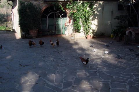 Landejendom i Rufina, Florence, Rufina - € 1.075.000 | Ref: a6273rc2270081a - foto 7