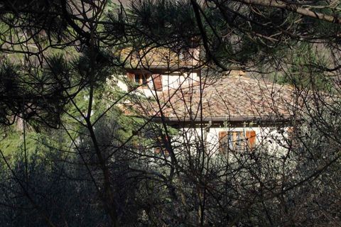 Landejendom i Rufina, Florence, Rufina - € 1.075.000 | Ref: a6273rc2270081a - foto 8
