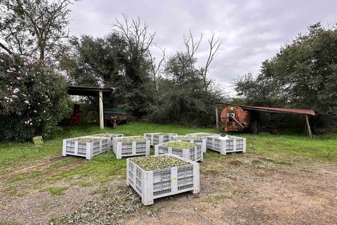 Farm hus i Roccastrada, Grosseto, Roccastrada - € 1.250.000 | Ref: a7631ta2400045a - foto 8