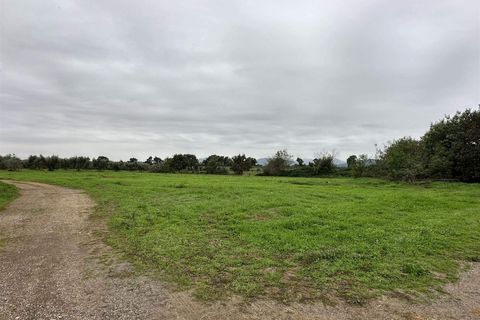 Farm hus i Roccastrada, Grosseto, Roccastrada - € 1.250.000 | Ref: a7631ta2400045a - foto 10