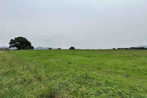 Farm hus i Roccastrada, Grosseto, Roccastrada - € 1.250.000 | Ref: a7631ta2400045a - foto 15
