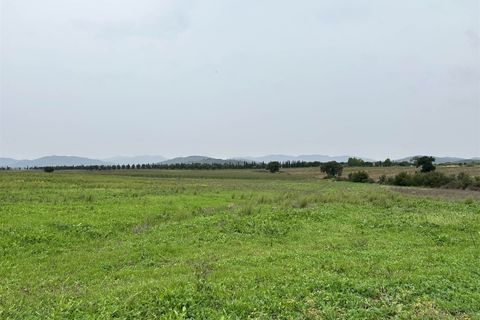 Farm hus i Roccastrada, Grosseto, Roccastrada - € 1.250.000 | Ref: a7631ta2400045a - foto 16