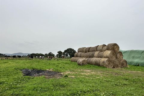 Farm hus i Roccastrada, Grosseto, Roccastrada - € 1.250.000 | Ref: a7631ta2400045a - foto 20