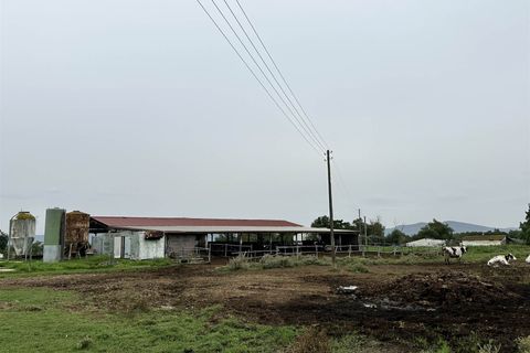 Farm hus i Roccastrada, Grosseto, Roccastrada - € 1.250.000 | Ref: a7631ta2400045a - foto 23