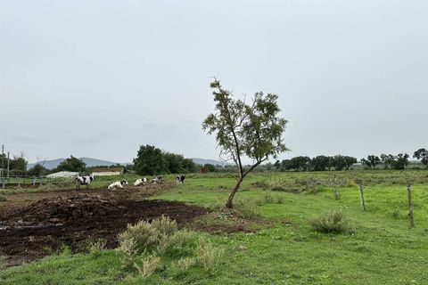 Farm hus i Roccastrada, Grosseto, Roccastrada - € 1.250.000 | Ref: a7631ta2400045a - foto 24