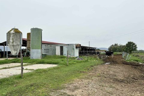 Farm hus i Roccastrada, Grosseto, Roccastrada - € 1.250.000 | Ref: a7631ta2400045a - foto 25