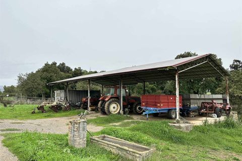 Farm hus i Roccastrada, Grosseto, Roccastrada - € 1.250.000 | Ref: a7631ta2400045a - foto 29