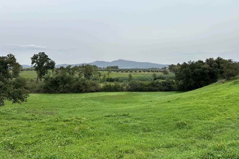 Farm hus i Roccastrada, Grosseto, Roccastrada - € 1.250.000 | Ref: a7631ta2400045a - foto 30