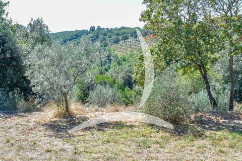 Farm hus i Roccastrada, Grosseto, Roccastrada - € 1.400.000 | Ref: a1190rc86347 - foto 15