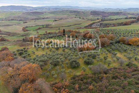 Farm hus i Pienza, Siena, Pienza - € 790.000 | Ref: a1190rc88409 - foto 22