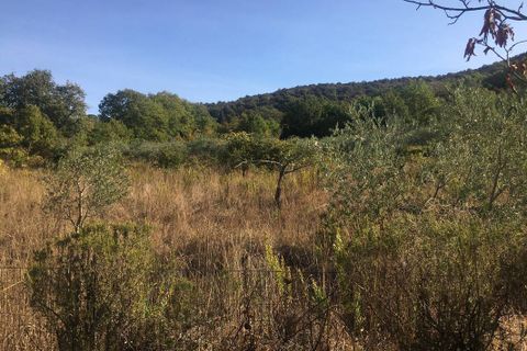 Farm hus i Scarlino, Grosseto, Scarlino - € 360.000 | Ref: a7631ta2008463a - foto 26