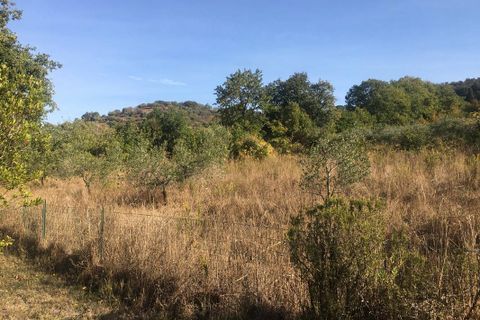 Farm hus i Scarlino, Grosseto, Scarlino - € 360.000 | Ref: a7631ta2008463a - foto 27