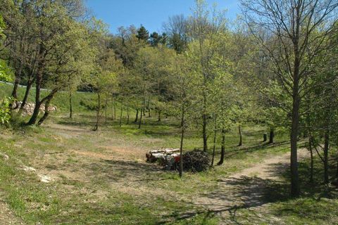 Farm hus i Massa Marittima, Grosseto, Massa Marittima - € 540.000 | Ref: a7631ta1914759a - foto 3