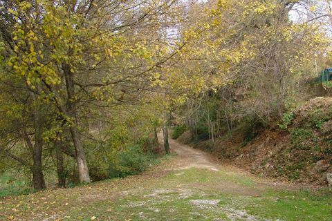Farm hus i Massa Marittima, Grosseto, Massa Marittima - € 540.000 | Ref: a7631ta1914759a - foto 9