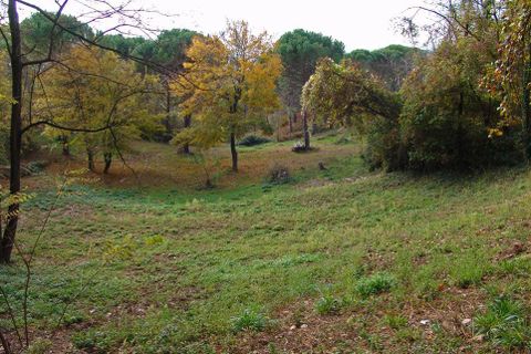 Farm hus i Massa Marittima, Grosseto, Massa Marittima - € 540.000 | Ref: a7631ta1914759a - foto 11