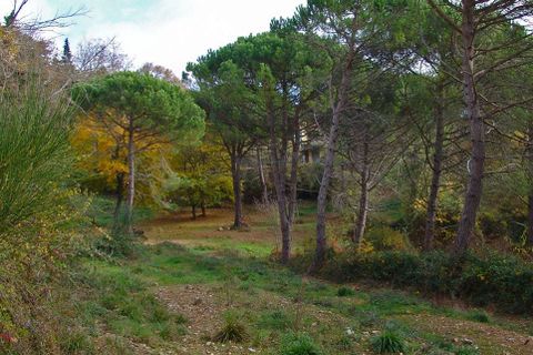 Farm hus i Massa Marittima, Grosseto, Massa Marittima - € 540.000 | Ref: a7631ta1914759a - foto 13