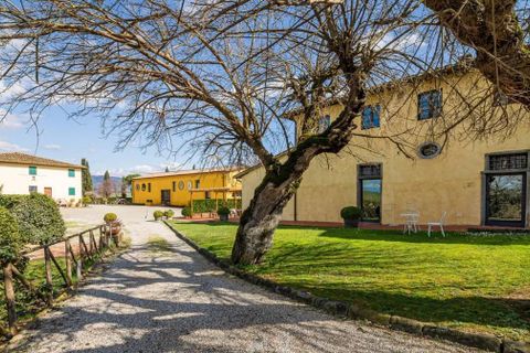 Landejendom i Vinci, Florence, Vinci - € 5.500.000 | Ref: a1190ra14684 - foto 18
