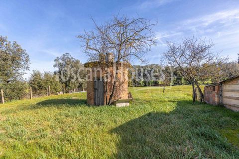 Farm hus i Pienza, Siena, Pienza - € 450.000 | Ref: a1190rc40664 - foto 10