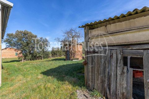 Farm hus i Pienza, Siena, Pienza - € 450.000 | Ref: a1190rc40664 - foto 11