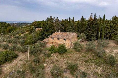 Farm hus i Asciano, Siena, Asciano - € 650.000 | Ref: a1190rc45993 - foto 3