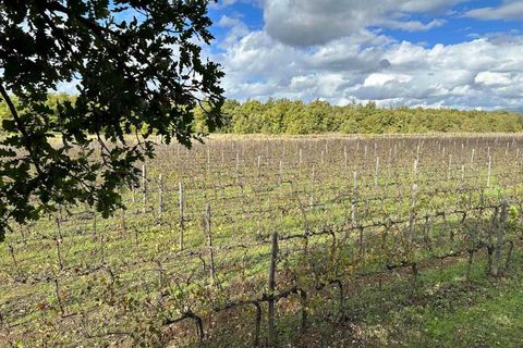 Masia a Grosseto, Grosseto, Grosseto - € 1.300.000 | Ref: a7631ta2268894a - foto 7