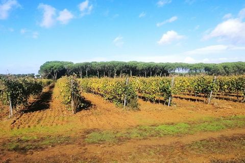 Helårsgrund i Cortona, Arezzo, Cortona - € 590.000 | Ref: a6380ta2266162a - foto 1